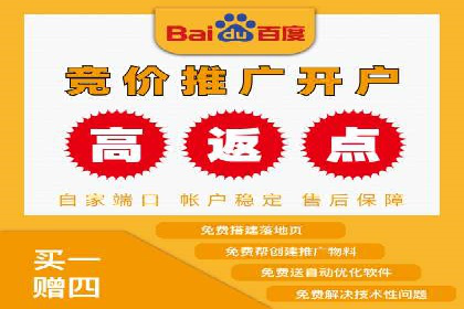 百度SEO推广公司经典之作：打造行业领先品牌